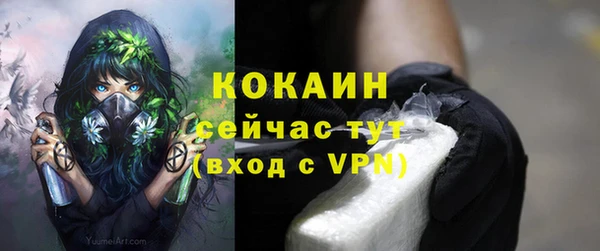 дживик Балахна