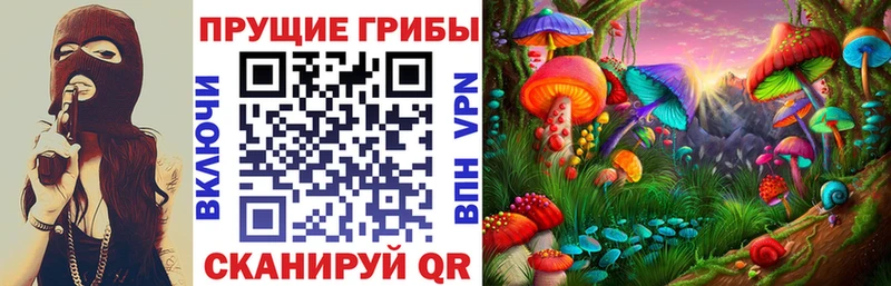 цены   Прохладный  Псилоцибиновые грибы Psilocybine cubensis 